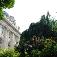 Jardin Des Champs Elysees