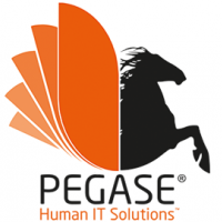 Pegase Informatique & Solutions Ip