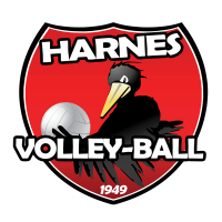HARNES VOLLEY-BALL