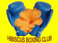 HIBISCUS BOXING CLUB