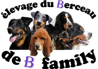 ELEVAGE DU BERCEAU DE B. FAMILY