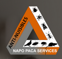 Napo Paca Services