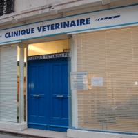 Clinique Veterinaire Dr Pignon-Cabe