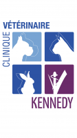 Clinique vétérinaire KENNEDY - Grenade, Grenade s/Garonne