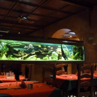 Restaurant Papa Lisa