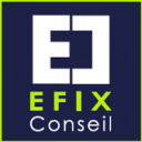 EFIX CONSEIL ; L-EXPERT-COMPTABLE.COM