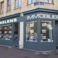 Agence Immobilière Faelens Immobilier Lille