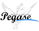 Agence web Pegase-13