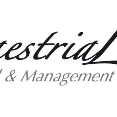 Maestrial Conseil & Management