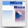 Micro Repair