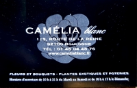 CAMELIA BLANC