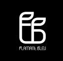 FLAMANT-BLEU STUDIO