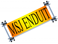 M.S.J. ENDUIT