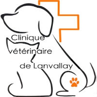 Clinique Vétérinaire de Lanvallay