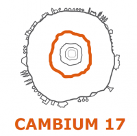 CAMBIUM 17