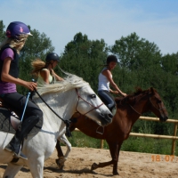 Scea Montrenard Equitation