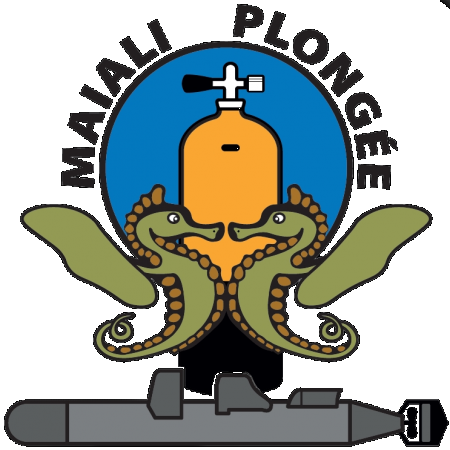 Section Maiali Plongee