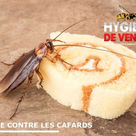 Hygiène De Vendée (Hdv3D)