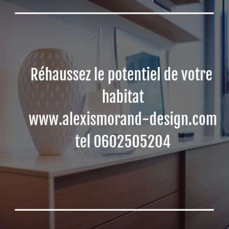 Alexis Morand Architecture D'interieur