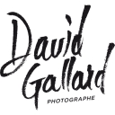 GALLARD DAVID