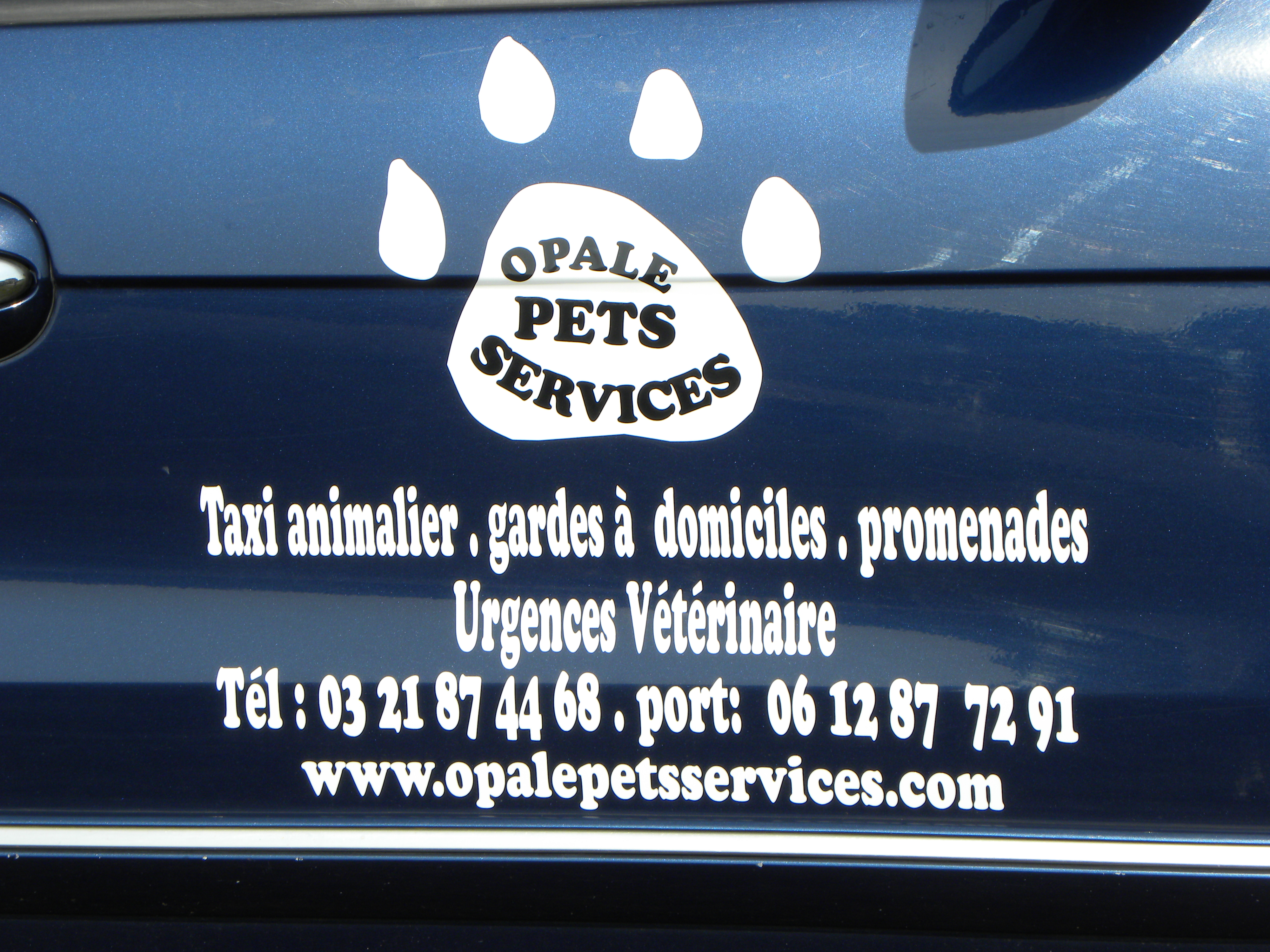 Opale Pets Services Taxi Animalier