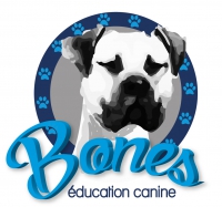 Bones Education