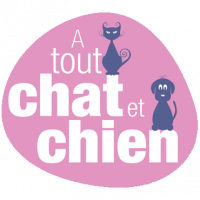 A Tout Chat et Chien Démouville