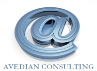 AVEDIAN CONSULTING
