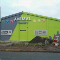 Animal Market