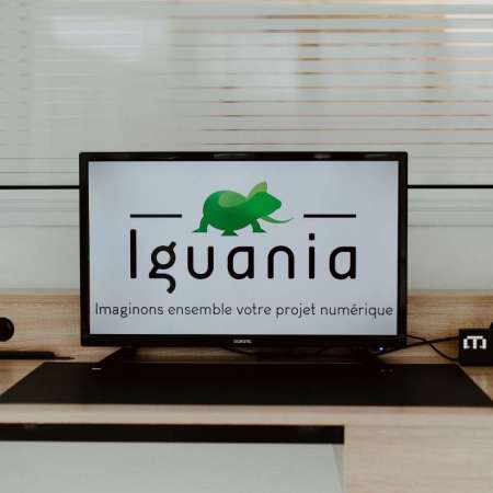 Iguania