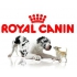 Croquettes royal canin
