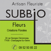 SUBBIO FLEURS