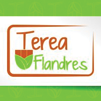 TEREA FLANDRES