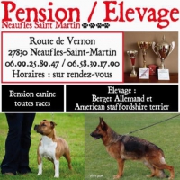 Pension Canine - Elevage