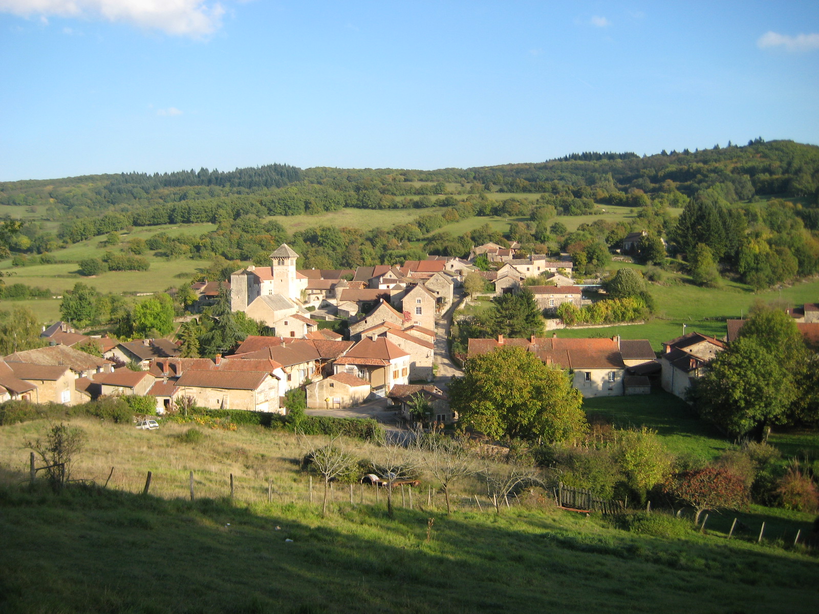 La Ferme du Mont Rouge Éleveur de bovins à Blanot (71250) Adresse