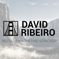 David Ribeiro - Stratégie Digitale Marketing