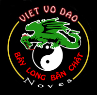 VIET VO DAO BAY LONG BAN CHAT