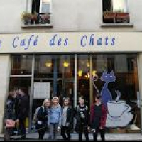 Le Cafe Des Chats