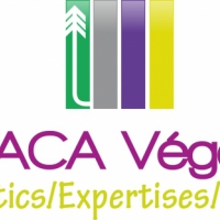 Abaca-Végétal