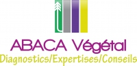 ABACA-Végétal