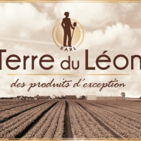 Terre Du Leon