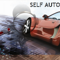 Innovative Automotive Systems Development