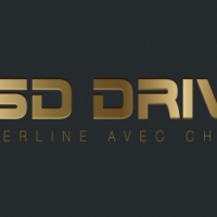 Sd Driver