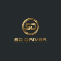 SD DRIVER