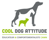 COOL-DOG-ATTITUDE
