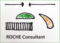 ROCHE Consultant