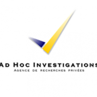 Ad Hoc Investigations
