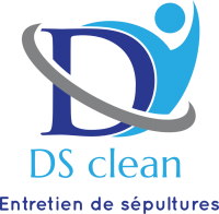 DS clean