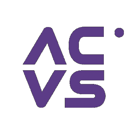Acvs Securety Group