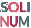 Solinum Consulting